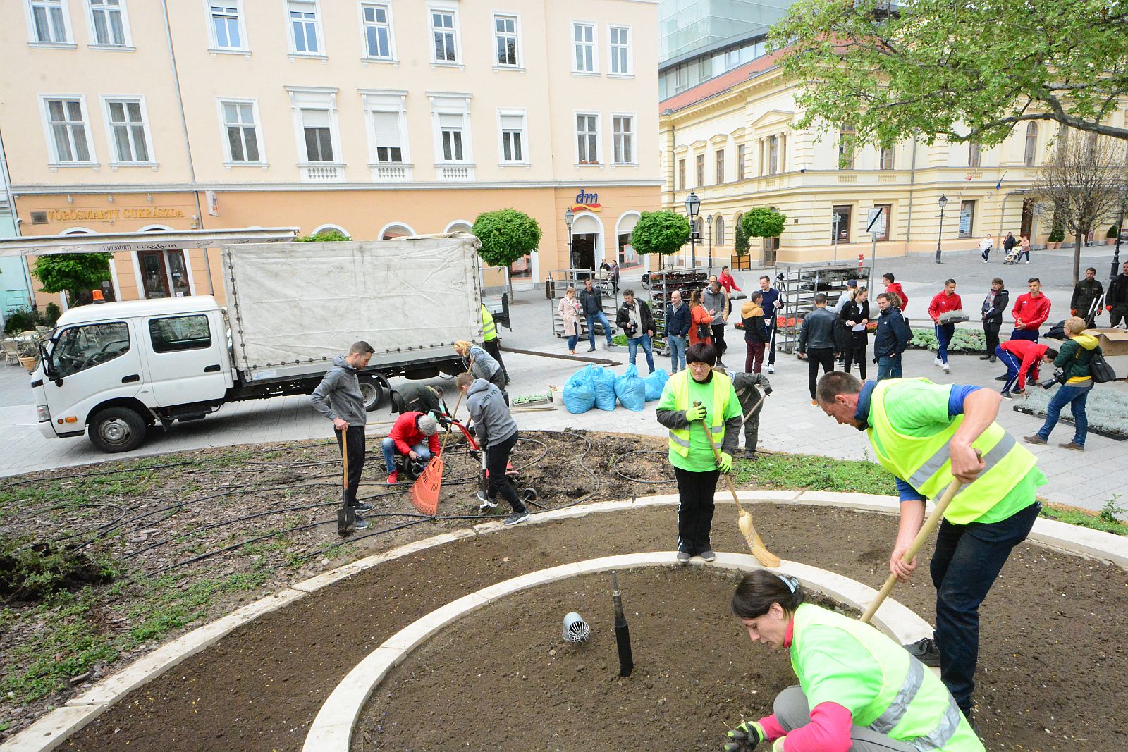 Kedden végeznek a Virágóra idei beültetésével a kertészek